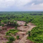 {"source_type":"hypic","tiktok_developers_3p_anchor_params":"{"filter_id":[],"capability_extra_v2":{"edit":[{"panel":"saturation"},{"panel":"shadow"},{"panel":"natural_saturation"},{"panel":"hsl"},{"panel":"oil_texture"},{"panel":"structure"},{"panel":"sharpen"},{"panel":"one_key_edit"}]},"capability_key":["edit"],"client_key":"awgvo7gzpeas2ho6","template_id":""}","data":{"product":"retouch","appversion":"6.9.0","filterId":"","enter_from":"enter_launch","playId":"","pictureId":"EBDF0D1E-BC02-42BA-90CD-E1695E78BF7F","os":"ios","stickerId":"","activityName":"","imageEffectId":"","infoStickerId":""}}